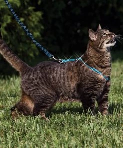 PetSafe Come With Me Kitty Glitter Nylon Cat Harness & Bungee Leash -PetSafe Store 101824 PT3. SY630 V1475677655