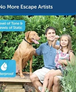 PetSafe Rechargeable In-Ground Fence Receiver Collar with Charger -PetSafe Store 101829 PT4. SY630 V1606377114