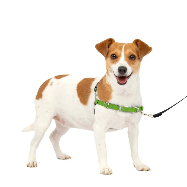 PetSafe Easy Walk Dog Harness 1 PetSafe Easy Walk Dog Harness