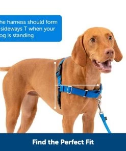 PetSafe Easy Walk Dog Harness 10 PetSafe Easy Walk Dog Harness -PetSafe Store 104060 PT4. SY630 V1657654933