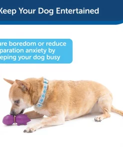 Busy Buddy Dinosaur Treat Dispenser Tough Dog Chew Toy -PetSafe Store 105217 PT3. SY630 V1602312061