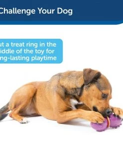 Busy Buddy Dinosaur Treat Dispenser Tough Dog Chew Toy -PetSafe Store 105217 PT6. SY630 V1602326778