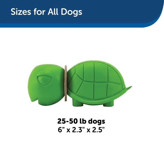 Busy Buddy Turtle Treat Dispenser Tough Dog Chew Toy 2 Busy Buddy Turtle Treat Dispenser Tough Dog Chew Toy - Image 2