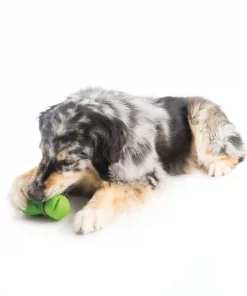 Busy Buddy Turtle Treat Dispenser Tough Dog Chew Toy 9 Busy Buddy Turtle Treat Dispenser Tough Dog Chew Toy -PetSafe Store 105220 PT2. SY630 V1472046852