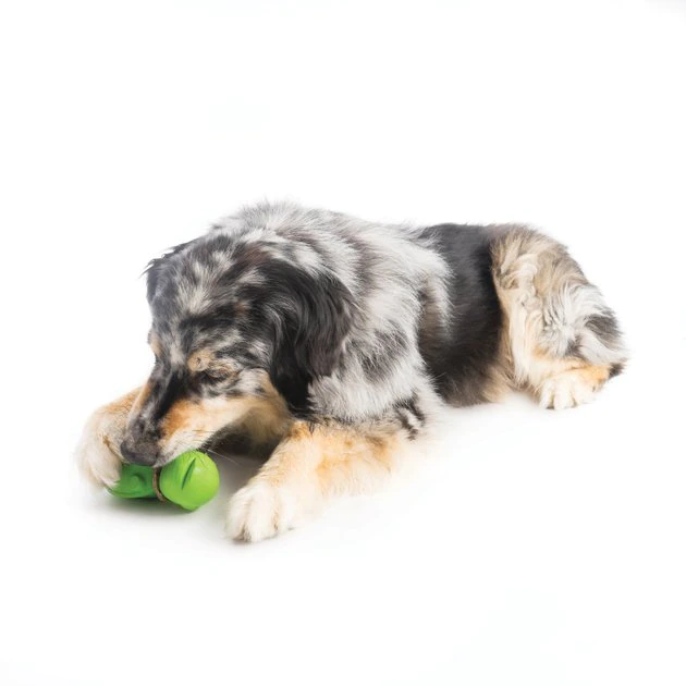 Busy Buddy Turtle Treat Dispenser Tough Dog Chew Toy 3 Busy Buddy Turtle Treat Dispenser Tough Dog Chew Toy - Image 3