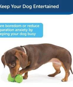 Busy Buddy Turtle Treat Dispenser Tough Dog Chew Toy 10 Busy Buddy Turtle Treat Dispenser Tough Dog Chew Toy -PetSafe Store 105220 PT3. SY630 V1602306367