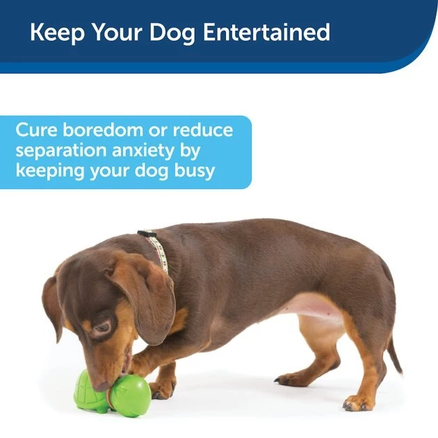 Busy Buddy Turtle Treat Dispenser Tough Dog Chew Toy 4 Busy Buddy Turtle Treat Dispenser Tough Dog Chew Toy - Image 4