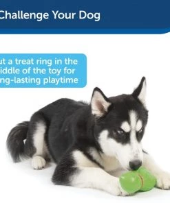 Busy Buddy Turtle Treat Dispenser Tough Dog Chew Toy 13 Busy Buddy Turtle Treat Dispenser Tough Dog Chew Toy -PetSafe Store 105220 PT6. SY630 V1602289876