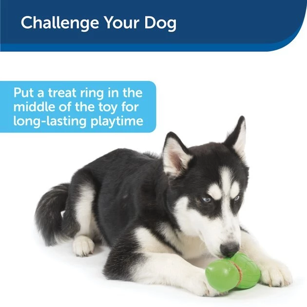 Busy Buddy Turtle Treat Dispenser Tough Dog Chew Toy 7 Busy Buddy Turtle Treat Dispenser Tough Dog Chew Toy - Image 7