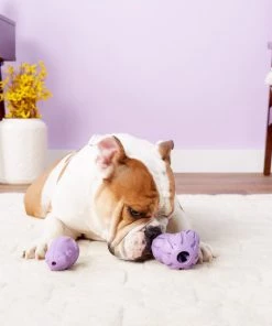 Busy Buddy Calming Treat Dispenser Dog Toy -PetSafe Store 105222 PT2. SY630 V1531554156