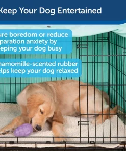 Busy Buddy Calming Treat Dispenser Dog Toy -PetSafe Store 105222 PT3. SY630 V1602303066