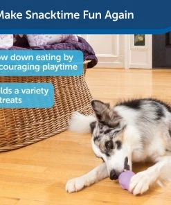 Busy Buddy Calming Treat Dispenser Dog Toy -PetSafe Store 105222 PT7. SY630 V1602297690