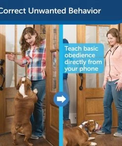 PetSafe Smart Dog Training Collar -PetSafe Store 105226 PT2. SY630 V1605145986