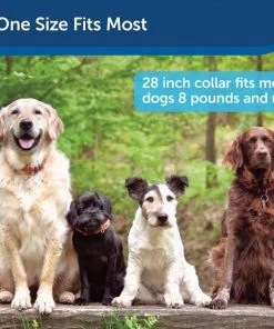 PetSafe Smart Dog Training Collar -PetSafe Store 105226 PT5. SY630 V1605146225