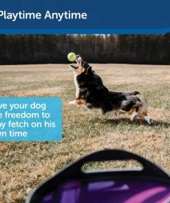 PetSafe Automatic Ball Launcher Dog Toy -PetSafe Store 105449 PT5. SY630 V1617321406