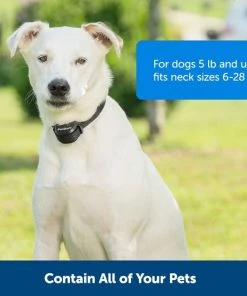 PetSafe Stay & Play Wireless Fence with Replaceable Battery Collar 10 PetSafe Stay & Play Wireless Fence with Replaceable Battery Collar -PetSafe Store 113393 PT3. SY630 V1657655271