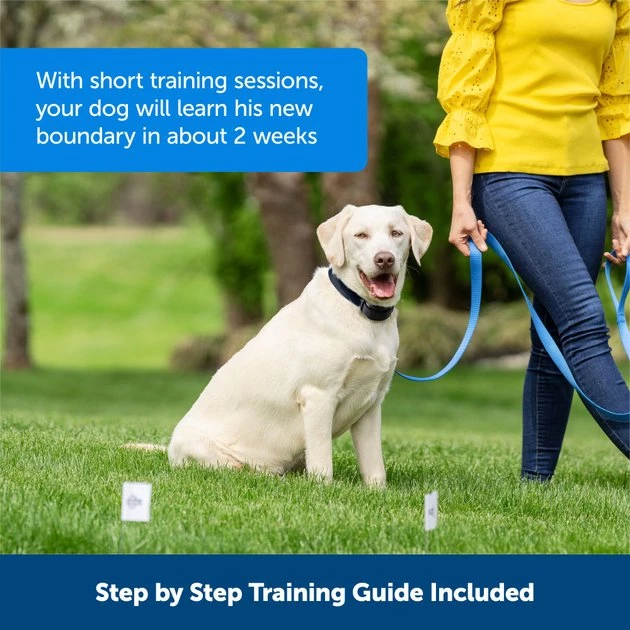 PetSafe Stay & Play Wireless Fence with Replaceable Battery Collar 5 PetSafe Stay & Play Wireless Fence with Replaceable Battery Collar - Image 5