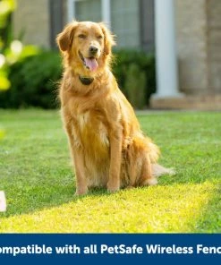 PetSafe Stay & Play Wireless Fence with Replaceable Battery Collar 13 PetSafe Stay & Play Wireless Fence with Replaceable Battery Collar -PetSafe Store 113393 PT6. SY630 V1657655271