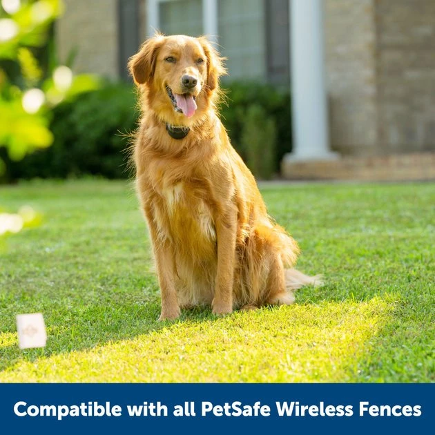 PetSafe Stay & Play Wireless Fence with Replaceable Battery Collar 7 PetSafe Stay & Play Wireless Fence with Replaceable Battery Collar - Image 7
