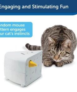 PetSafe Cheese Motion Cat Toy -PetSafe Store 114120 PT4. SY630 V1599813077