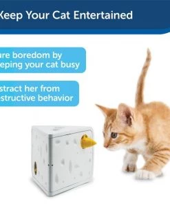 PetSafe Cheese Motion Cat Toy -PetSafe Store 114120 PT5. SY630 V1599813064