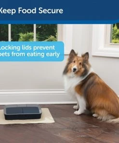 PetSafe Digital 2-Meal Automatic Dog & Cat Feeder -PetSafe Store 120968 PT2. SY630 V1590606182