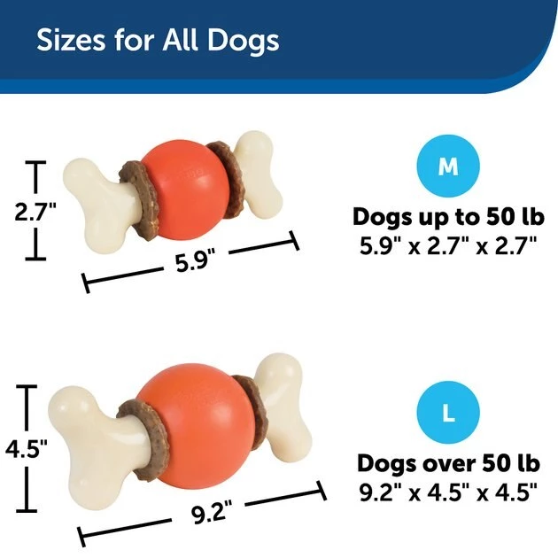 Busy Buddy Bouncy Bone Treat Dispenser Tough Dog Chew Toy 2 Busy Buddy Bouncy Bone Treat Dispenser Tough Dog Chew Toy - Image 2