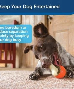 Busy Buddy Bouncy Bone Treat Dispenser Tough Dog Chew Toy 11 Busy Buddy Bouncy Bone Treat Dispenser Tough Dog Chew Toy -PetSafe Store 120990 PT3. SY630 V1599756972