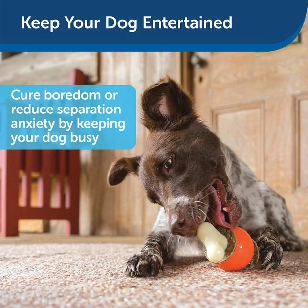 Busy Buddy Bouncy Bone Treat Dispenser Tough Dog Chew Toy 4 Busy Buddy Bouncy Bone Treat Dispenser Tough Dog Chew Toy - Image 4