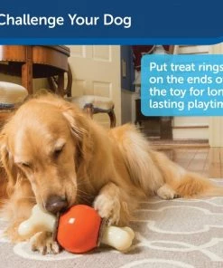 Busy Buddy Bouncy Bone Treat Dispenser Tough Dog Chew Toy 12 Busy Buddy Bouncy Bone Treat Dispenser Tough Dog Chew Toy -PetSafe Store 120990 PT4. SY630 V1599757254