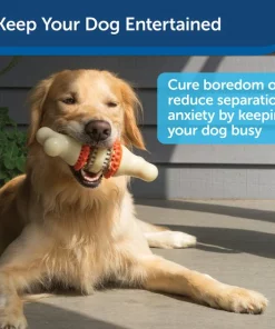 Busy Buddy Bristle Bone Treat Dispenser Tough Dog Chew Toy -PetSafe Store 121024 PT3. SY630 V1599813061