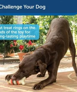 Busy Buddy Bristle Bone Treat Dispenser Tough Dog Chew Toy -PetSafe Store 121024 PT4. SY630 V1599812755