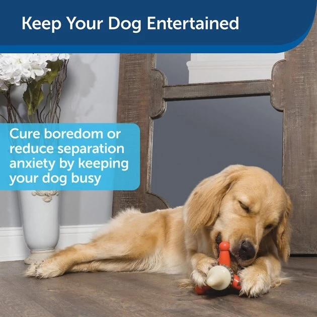 Busy Buddy Jack Treat Dispenser Tough Dog Chew Toy 4 Busy Buddy Jack Treat Dispenser Tough Dog Chew Toy - Image 4