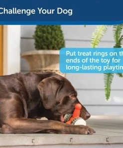 Busy Buddy Jack Treat Dispenser Tough Dog Chew Toy 12 Busy Buddy Jack Treat Dispenser Tough Dog Chew Toy -PetSafe Store 121341 PT4. SY630 V1599827779