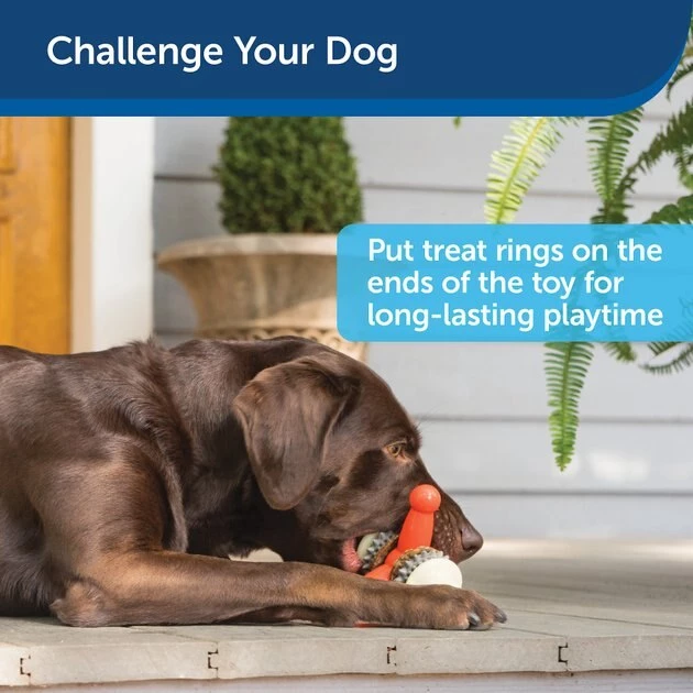 Busy Buddy Jack Treat Dispenser Tough Dog Chew Toy 5 Busy Buddy Jack Treat Dispenser Tough Dog Chew Toy - Image 5