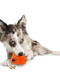 PetSafe Sportsmen Barnacle Treat Dispenser Dog Toy