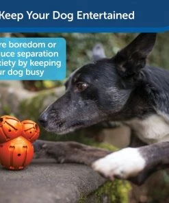 PetSafe Sportsmen Barnacle Treat Dispenser Dog Toy 11 PetSafe Sportsmen Barnacle Treat Dispenser Dog Toy -PetSafe Store 121350 PT3. SY630 V1599831111