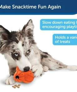 PetSafe Sportsmen Barnacle Treat Dispenser Dog Toy 12 PetSafe Sportsmen Barnacle Treat Dispenser Dog Toy -PetSafe Store 121350 PT4. SY630 V1599831113