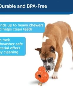 PetSafe Sportsmen Barnacle Treat Dispenser Dog Toy 13 PetSafe Sportsmen Barnacle Treat Dispenser Dog Toy -PetSafe Store 121350 PT5. SY630 V1599831119