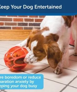 PetSafe Sportsmen Kibble Nibble Feeder Ball Dog Toy 11 PetSafe Sportsmen Kibble Nibble Feeder Ball Dog Toy -PetSafe Store 121360 PT3. SY630 V1599830765