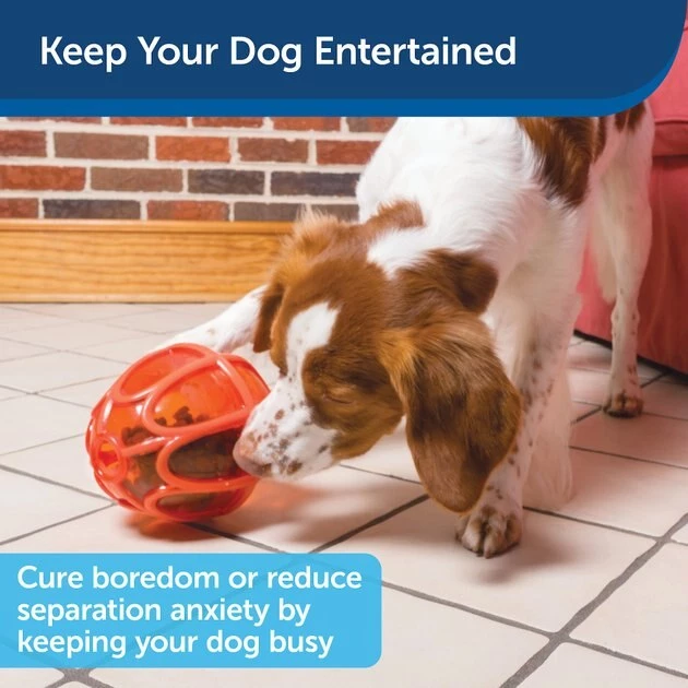 PetSafe Sportsmen Kibble Nibble Feeder Ball Dog Toy 4 PetSafe Sportsmen Kibble Nibble Feeder Ball Dog Toy - Image 4