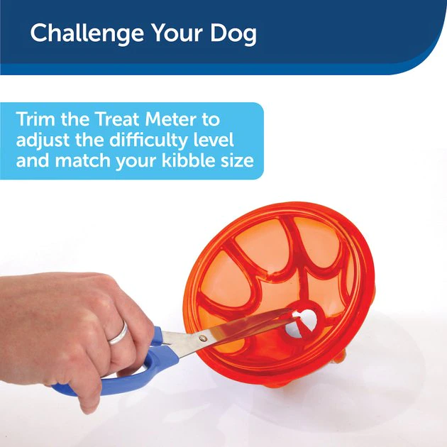 PetSafe Sportsmen Kibble Nibble Feeder Ball Dog Toy 5 PetSafe Sportsmen Kibble Nibble Feeder Ball Dog Toy - Image 5