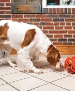 PetSafe Sportsmen Kibble Nibble Feeder Ball Dog Toy 15 PetSafe Sportsmen Kibble Nibble Feeder Ball Dog Toy -PetSafe Store 121360 PT7. SY630 V1530920076