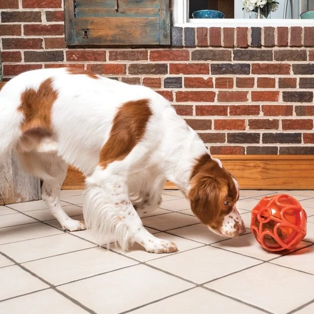 PetSafe Sportsmen Kibble Nibble Feeder Ball Dog Toy 8 PetSafe Sportsmen Kibble Nibble Feeder Ball Dog Toy - Image 8