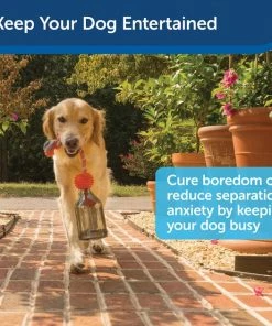 PetSafe Sportsmen Tug A Jug Treat Dispensing Tough Dog Chew Toy 13 PetSafe Sportsmen Tug A Jug Treat Dispensing Tough Dog Chew Toy -PetSafe Store 121362 PT4. SY630 V1599756960