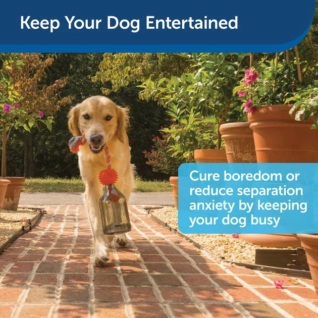 PetSafe Sportsmen Tug A Jug Treat Dispensing Tough Dog Chew Toy 5 PetSafe Sportsmen Tug A Jug Treat Dispensing Tough Dog Chew Toy - Image 5