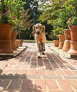 PetSafe Sportsmen Tug A Jug Treat Dispensing Tough Dog Chew Toy 16 PetSafe Sportsmen Tug A Jug Treat Dispensing Tough Dog Chew Toy -PetSafe Store 121362 PT7. SY630 V1493242332