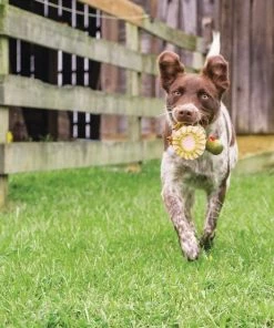 PetSafe Sportsmen Latex Meeze Turkey Squeaky Treat Dispenser Dog Toy 7 PetSafe Sportsmen Latex Meeze Turkey Squeaky Treat Dispenser Dog Toy -PetSafe Store 121366 PT2. SY630 V1599831115