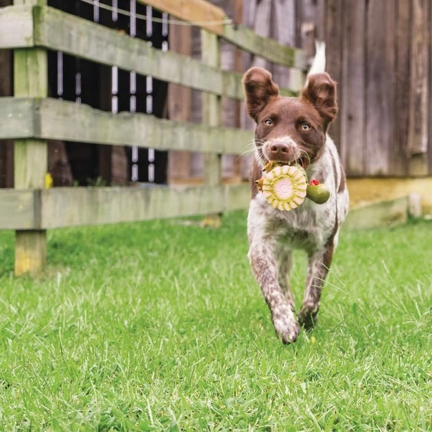 PetSafe Sportsmen Latex Meeze Turkey Squeaky Treat Dispenser Dog Toy 3 PetSafe Sportsmen Latex Meeze Turkey Squeaky Treat Dispenser Dog Toy - Image 3