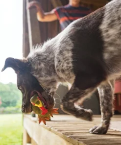 PetSafe Sportsmen Latex Meeze Turkey Squeaky Treat Dispenser Dog Toy 9 PetSafe Sportsmen Latex Meeze Turkey Squeaky Treat Dispenser Dog Toy -PetSafe Store 121366 PT4. SY630 V1599831071